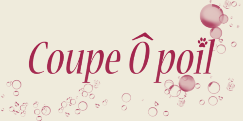 Logo Coupe O Poil